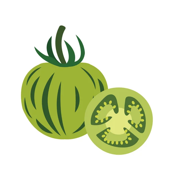Nature Végétal Bio Tomate Verte Zébrée Aliment Sain Vecteur Coloré — Image vectorielle