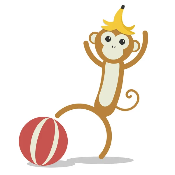 귀여운 포유류 원숭이 — 스톡 벡터