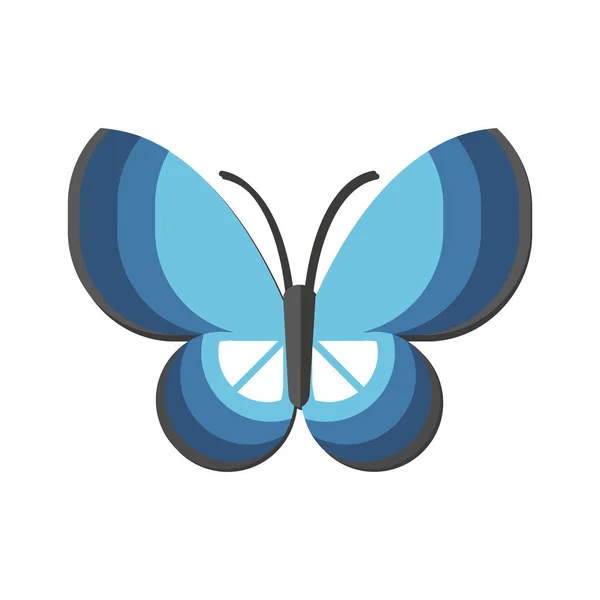 Vivero Naturaleza Insecto Vector Azul Mariposa — Vector de stock
