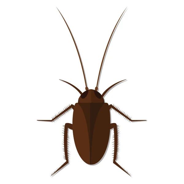 Nursery Nature Insect Vector Cockroach — Stock Vector