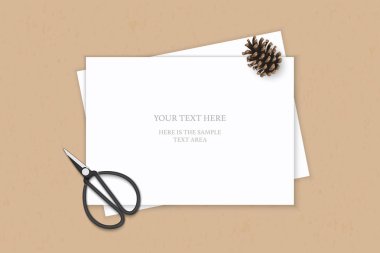 Düz yatıyordu üstten görünüm zarif beyaz kompozisyon kağıt çam koni ve vintage metal makas kraft arka plan üzerinde.