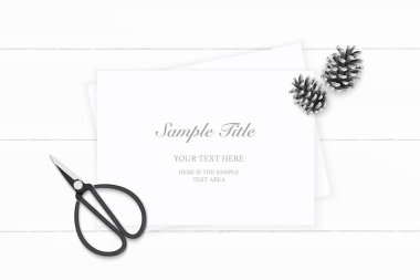 Düz yatıyordu üstten görünüm zarif beyaz kompozisyon kağıt çam koni ve vintage metal için makaslar ahşap arka plan.