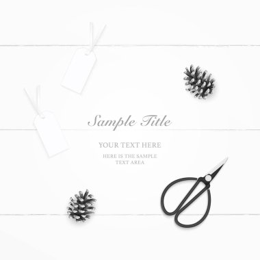 Düz yatıyordu üst zarif kompozisyon kağıt çam koni Etiketler ve vintage metal makas üzerinde ahşap arka plan görüntüleme.