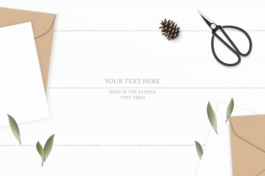 Düz yatıyordu üstten görünüm zarif beyaz kompozisyon mektup kraft kağıt zarf çam koni yaprak ve vintage metal için makaslar ahşap arka plan.