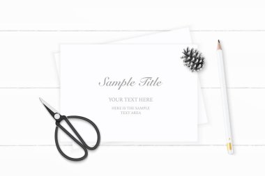 Düz yatıyordu üstten görünüm zarif beyaz kompozisyon kağıt çam koni kalem ve vintage metal için makaslar ahşap arka plan.