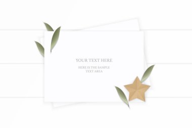 Düz yatıyordu üstten görünüm zarif beyaz kompozisyon kağıt bitki yaprak ve star craft ahşap arka plan üzerinde şekil.