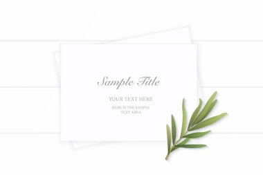 Düz yatıyordu üstten görünüm zarif beyaz kompozisyon kağıt bitki tarhun yaprak ahşap arka plan üzerinde.