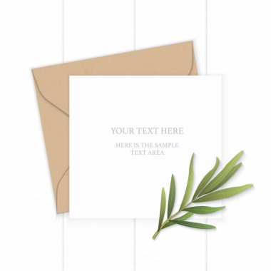 Düz yatıyordu üstten görünüm zarif beyaz kompozisyon mektup kraft kağıt zarf tarhun yaprak ahşap arka plan üzerinde.