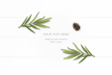 Düz yatıyordu üstten görünüm zarif beyaz kompozisyon kağıt botanik bahçe bitki tarhun yaprak çam kozalağı ahşap arka plan üzerinde.