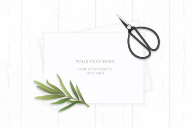 Düz yatıyordu üstten görünüm zarif beyaz kompozisyon kağıt tarhun ve vintage metal için makaslar ahşap arka plan.