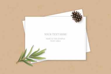 Düz yatıyordu üstten görünüm zarif beyaz kompozisyon kağıt çam koni ve tarhun yaprak kraft arka plan üzerinde.