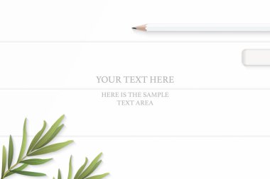 Düz üstten görünüm zarif beyaz kompozisyon kalem silgi ve tarhun yaprak ahşap zemin zemin üzerinde yatıyordu.