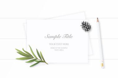 Düz yatıyordu üstten görünüm zarif beyaz kompozisyon kağıt çam koni kalem ve tarhun yaprak ahşap arka plan üzerinde.