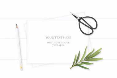 Düz yatıyordu üstten görünüm zarif beyaz kompozisyon kağıt kalem tarhun yaprak ve vintage metal için makaslar ahşap arka plan.