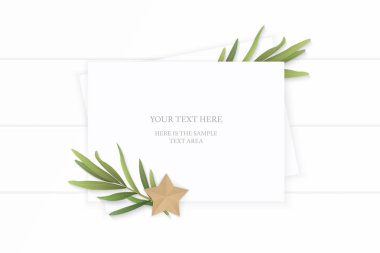 Düz yatıyordu üstten görünüm zarif beyaz kompozisyon kağıt bitki tarhun yaprak ve star craft ahşap arka plan üzerinde şekil.