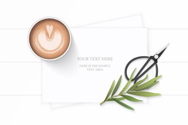 Düz yatıyordu üstten görünüm zarif beyaz kompozisyon kağıt bitki yaprak kahve tarhun yaprak ve vintage metal için makaslar ahşap arka plan.