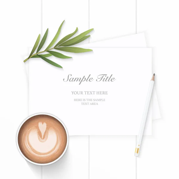 Flache Lay Draufsicht Elegantes Weißes Kompositionspapier Tannenzapfen Kaffee Estragon Laf — Stockvektor