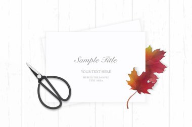 Düz yatıyordu üstten görünüm zarif beyaz kompozisyon kağıt sonbahar kırmızı akçaağaç yaprağı ve vintage metal için makaslar ahşap arka plan.