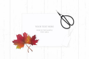 Düz yatıyordu üst ahşap arka plan üzerinde zarif beyaz kompozisyon kağıt sonbahar kırmızı akçaağaç yaprağı etiketi ve vintage metal makas görüntülemek.