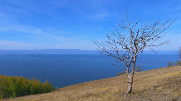 Beautiful View Lake Baikal Olkhon Island Sunny Day Irkutsk Russia — Stock Photo, Image