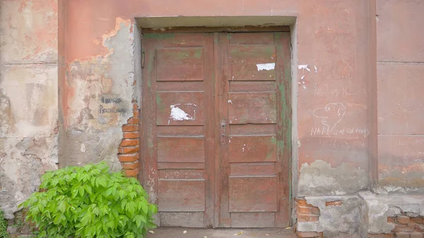 Retro Vintage Viejo Ladrillo Hormigón Roto Pared Puerta Madera Planta —  Fotos de Stock