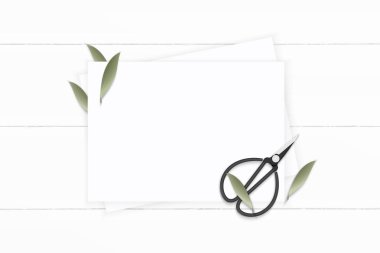 Retro beyaz şablon sanat bg 0036