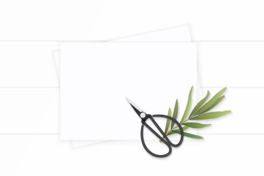 Düz yatıyordu üstten görünüm zarif beyaz kompozisyon kağıt doğa tarrago