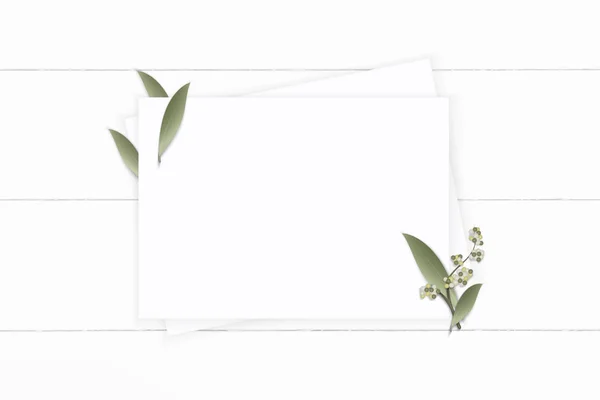 Flat lay top view elegant white composition paper plant leaf flo — Stock Photo, Image