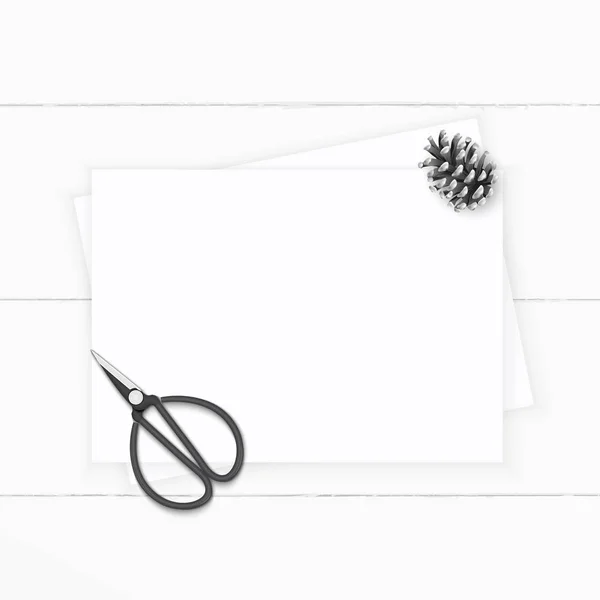 Плоский вид сверху элегантный белый композиционный бумажный конус сосны и — стоковое фото