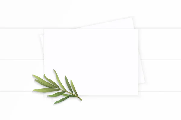 Plano laico vista superior elegante blanco composición papel estragón hoja —  Fotos de Stock