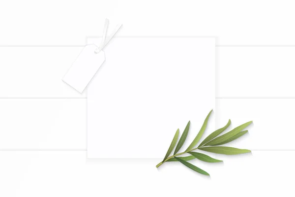 Flat lay top view elegant white composition paper brown tarragon — Stock Photo, Image