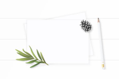 Düz yatıyordu üstten görünüm zarif beyaz kompozisyon kağıt çam koni penc