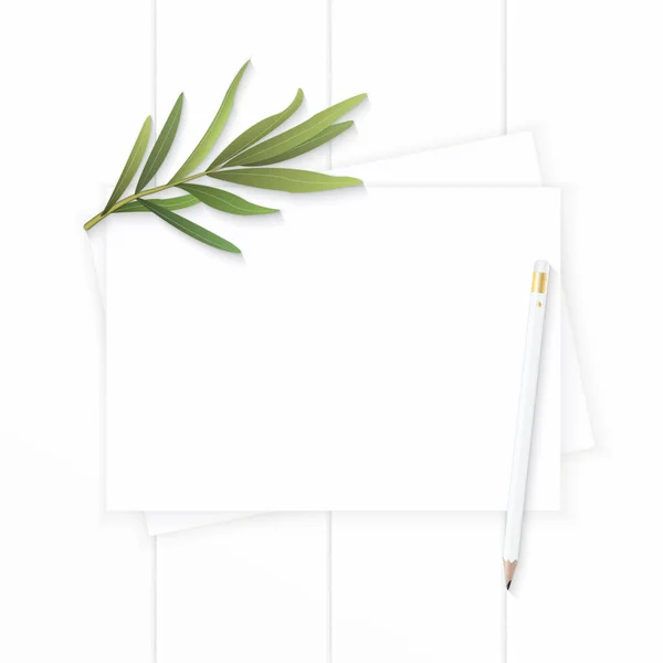 フラット レイアウト平面図エレガントなホワイト組成紙タラゴンの葉 — ストック写真