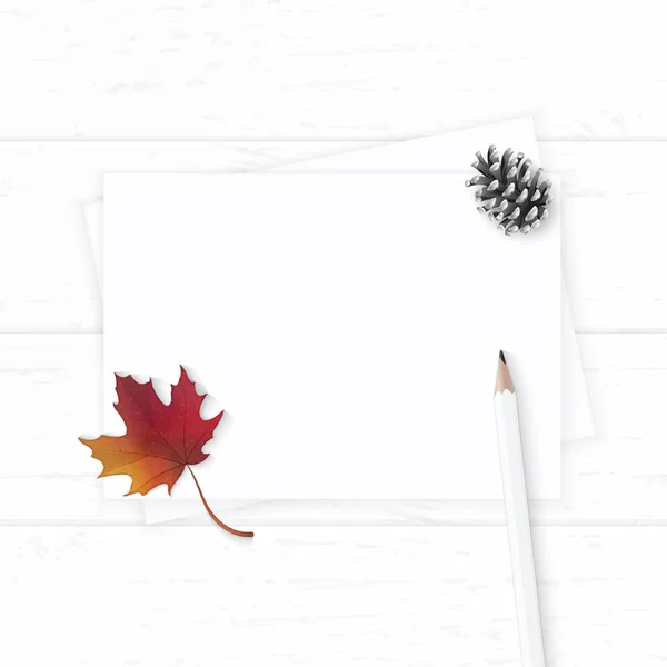 Plano laico vista superior elegante blanco composición de papel cono de pino autu —  Fotos de Stock