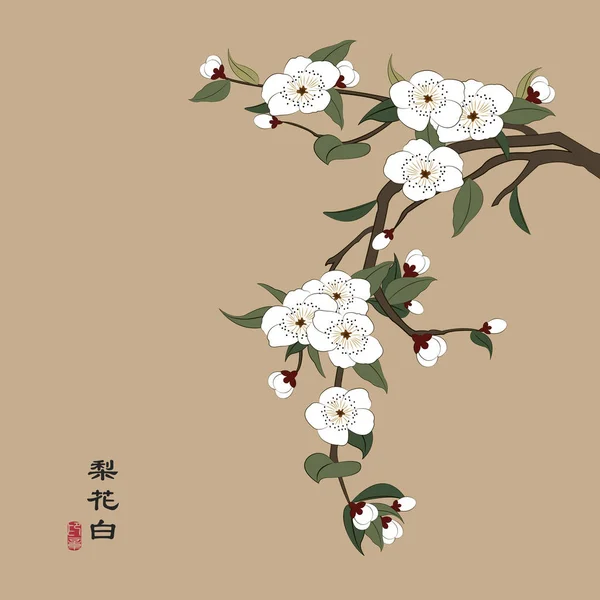 Retro kleurrijke Chinese stijl vector illustratie witte pear Blossom. Vertaling voor het Chinese woord: witte peren bloem. — Stockvector