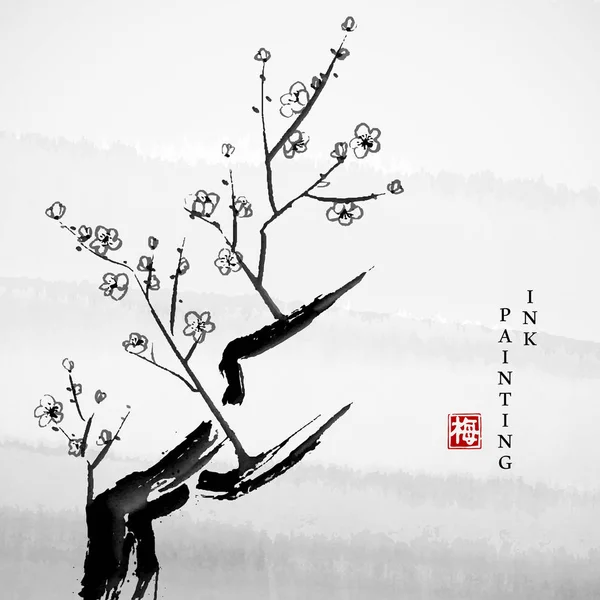 Acquerello inchiostro pittura arte vettore texture illustrazione prugna albero dei fiori. Traduzione per la parola cinese: Fiore di prugna — Vettoriale Stock