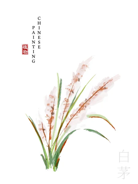 Aquarel Chinese inkt verf kunst illustratie natuur plant uit het boek van liedjes witte Cogongrass. Vertaling voor het Chinese woord: plant en wit Cogongrass — Stockvector