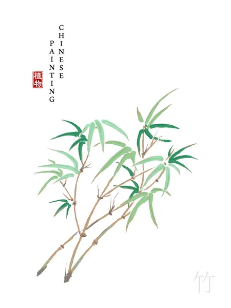 Aquarela tinta chinesa pintura arte ilustração natureza planta de The Book of Songs bambu. Tradução para a palavra chinesa: Planta e bambu — Vetor de Stock