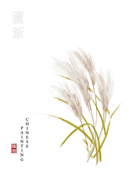 Aquarell chinesische Tusche malen Kunst Illustration Natur Pflanze aus dem Buch der Lieder Schilf. Übersetzung für das chinesische Wort: Pflanze und Schilf — Stockvektor