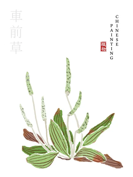 Aquarell chinesische Tusche malen Kunst Illustration Natur Pflanze aus dem Buch der Lieder Haustür Unkraut. Übersetzung für das chinesische Wort: Unkraut — Stockvektor