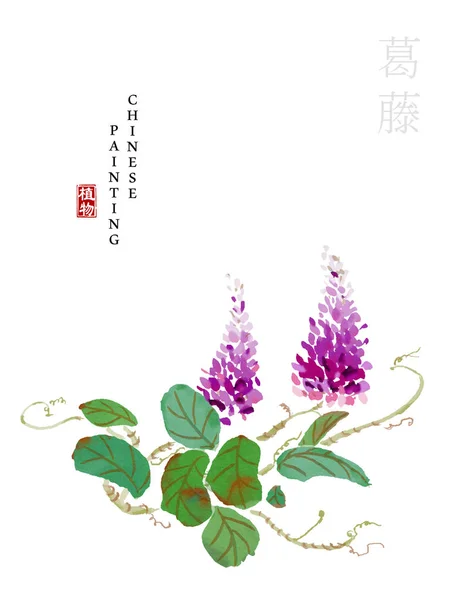 Aquarel Chinese inkt verf kunst illustratie natuur plant uit het boek van liederen kudzu. Vertaling voor het Chinese woord: plant en kudzu — Stockvector