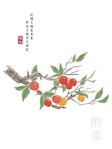 Watercolor Chinese ink paint art illustration nature plant from The Book of Songs Sour Jujube. Translation for the Chinese word : Plant and Sour Jujube — Stock Vector