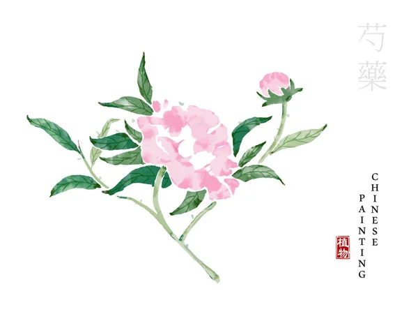 Aquarel Chinese inkt verf kunst illustratie natuur plant uit het boek van liederen Peony. Vertaling voor het Chinese woord: plant en Peony — Stockvector