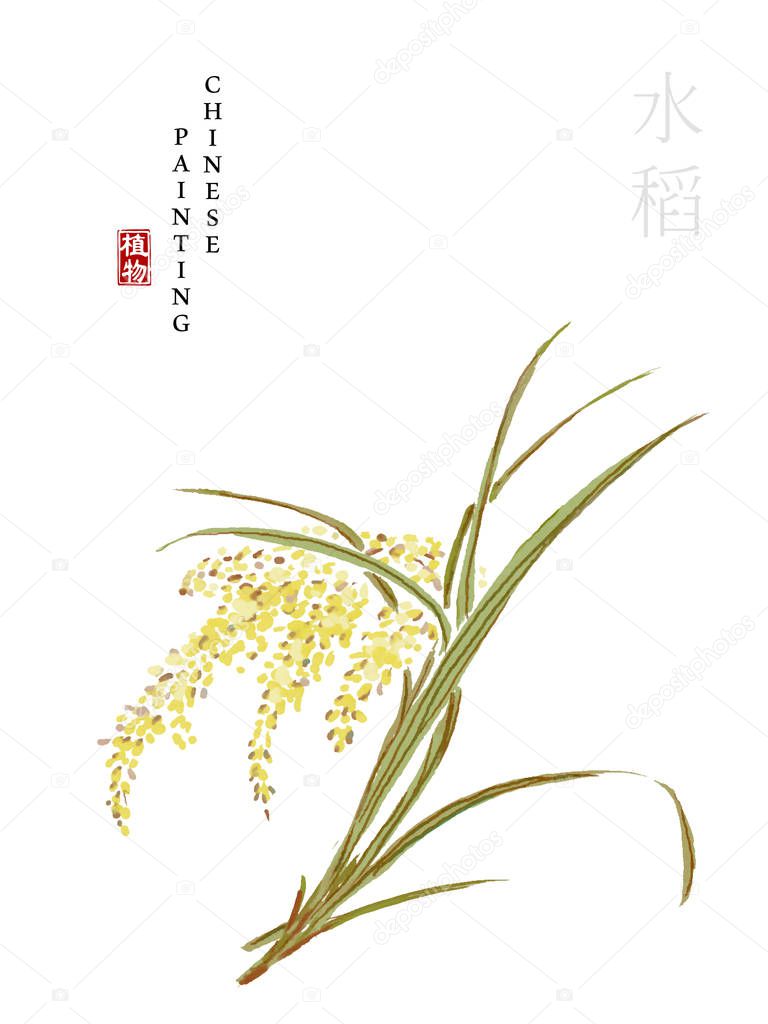 Watercolor Chinese ink paint art illustration nature plant from The Book of Songs rice. Translation for the Chinese word : Plant and rice