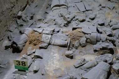 Terracotta Savaşçıları Terracotta Savaşçıları Müzesi