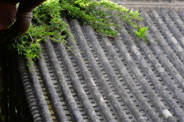 Geleneksel Çin Konutları mimari seramik çatı ve yeşil 