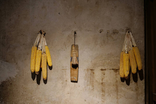 Traditional Chinese Residences kitchen interior dried cone hangi