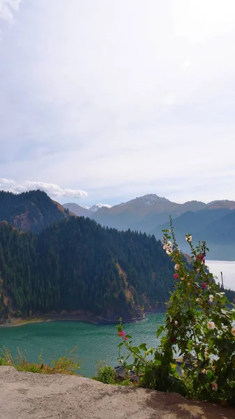 Příroda krajina pohled Nebeské jezero Nebeských hor v Xinj — Stock fotografie