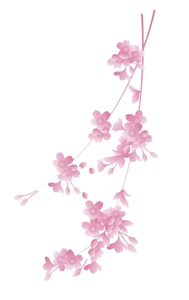 Estilo Japonês Vetor Rosa Sakura Flor Cereja —  Vetores de Stock