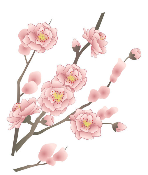 Japanese style vector peach blossom flower